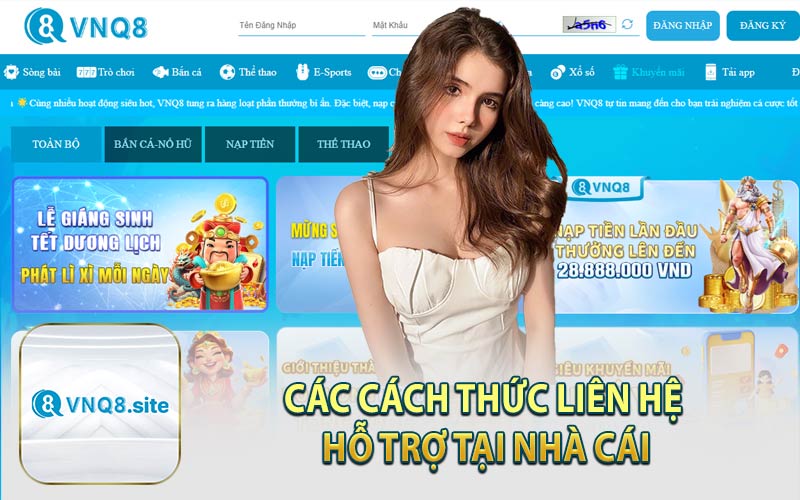 Các Cách Thức Liên Hệ Hỗ Trợ Tại Nhà Cái
