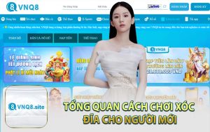 Tổng Quan Cách Chơi Xóc Đĩa Cho Người Mới
